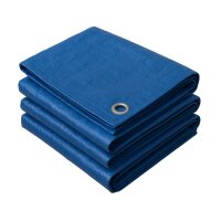 Tarpaulin Sheet 6x10 m 60g/m² Blue