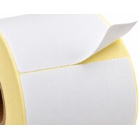 Thermal Labels 100x150 mm – 500 Labels per Roll