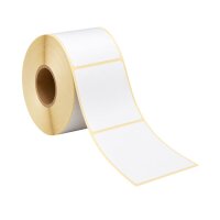 Thermal Labels 100x150 mm – 500 Labels per Roll